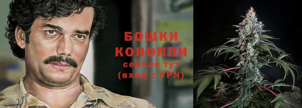 дмт Переславль-Залесский