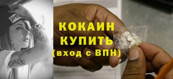 сатива Пересвет