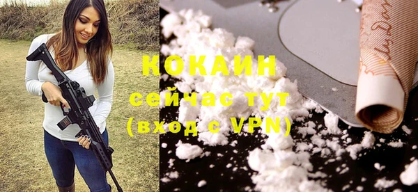 сатива Пересвет