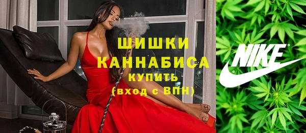 сатива Пересвет