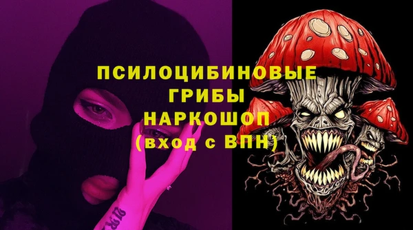 сатива Пересвет