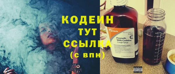 сатива Пересвет