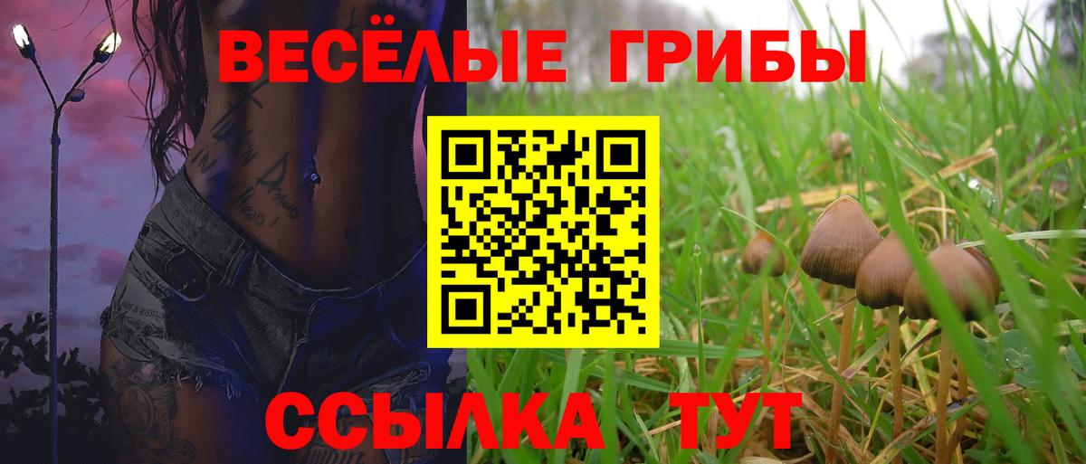 Вязьма  Псилоцибиновые грибы Psilocybine cubensis  Вход с VPN 