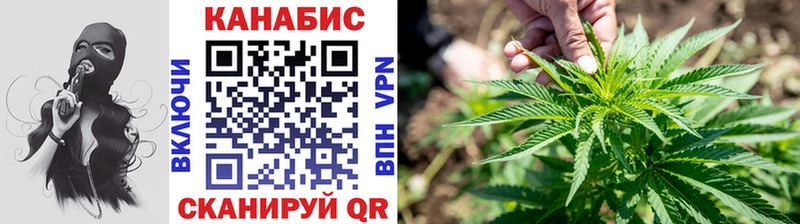 МЕГА tor  Вязьма  Марихуана Amnesia 